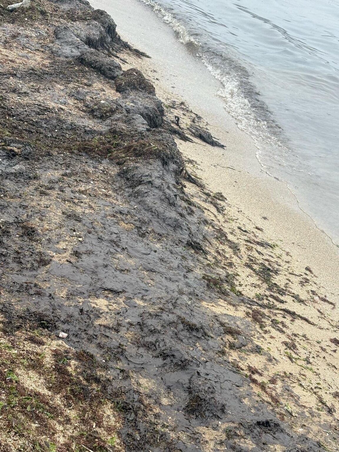РИОСВ и БДЧР извършиха съвместна проверка за замърсяване на морските води и плажната ивица във Варна